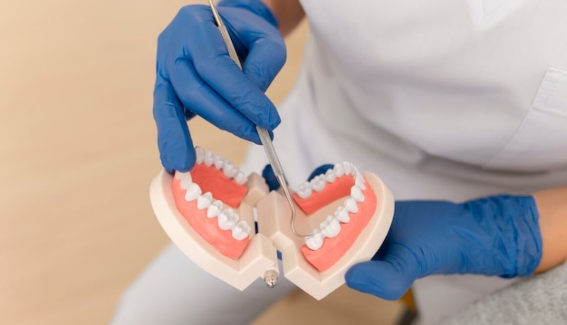 dentist-showing-something-teeth-model_23-2149195934